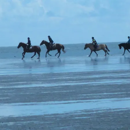 Dietrichs Wentzelhof Appartement *