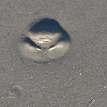 Dietrichs Wentzelhof Sankt Peter-Ording