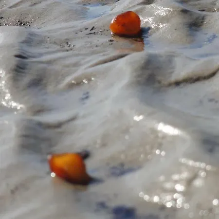 Dietrichs Wentzelhof Appartement *