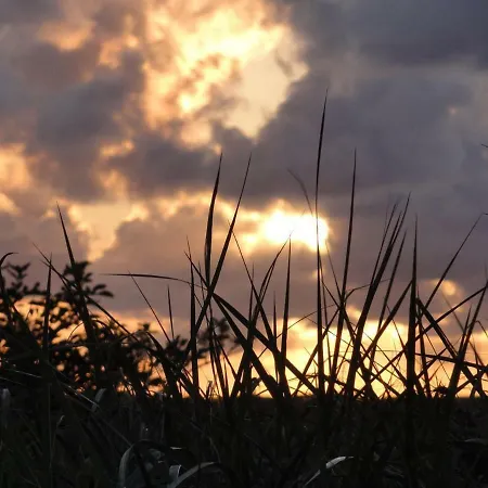 Dietrichs Wentzelhof * סנט פטר-אורדינג