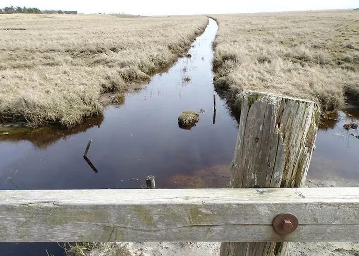 Dietrichs Wentzelhof Appartement Sankt Peter-Ording