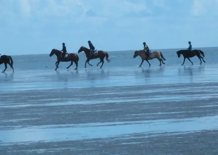 Dietrichs Wentzelhof Apartament *