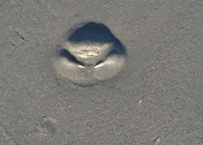 Dietrichs Wentzelhof Sankt Peter-Ording